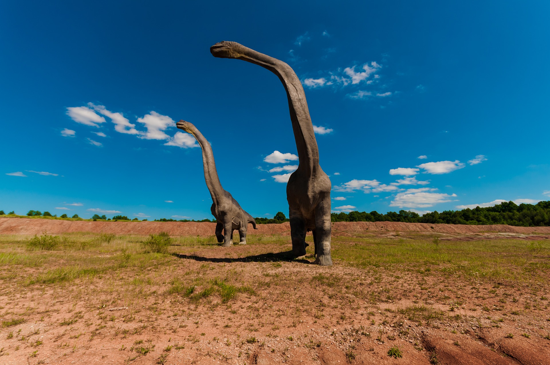 Quel repas pour les dinosaures ?