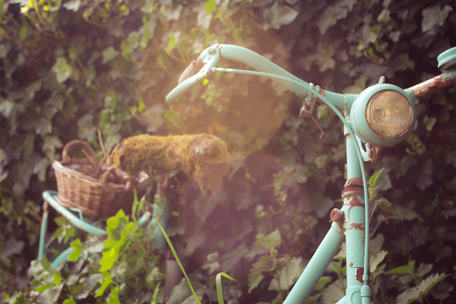 Le tour de France de la biodiversité