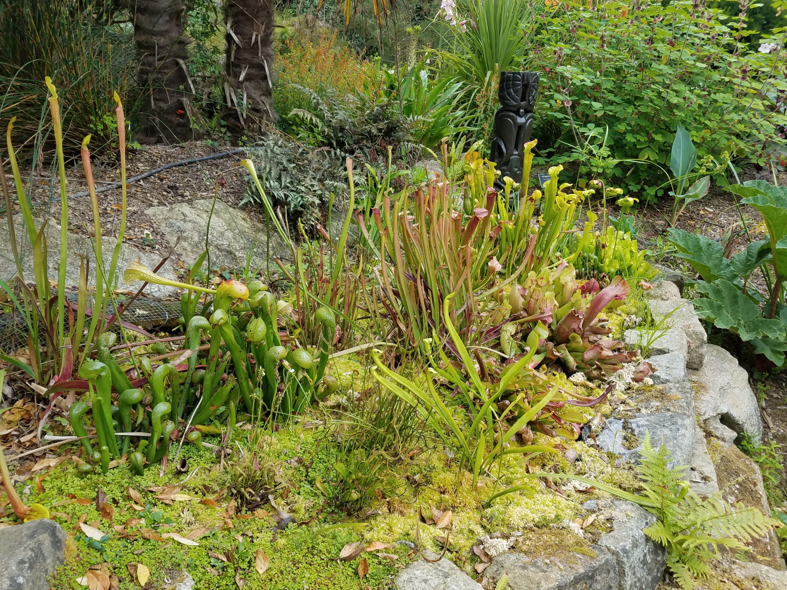 Connaissez-vous l’Office français de la biodiversité ?