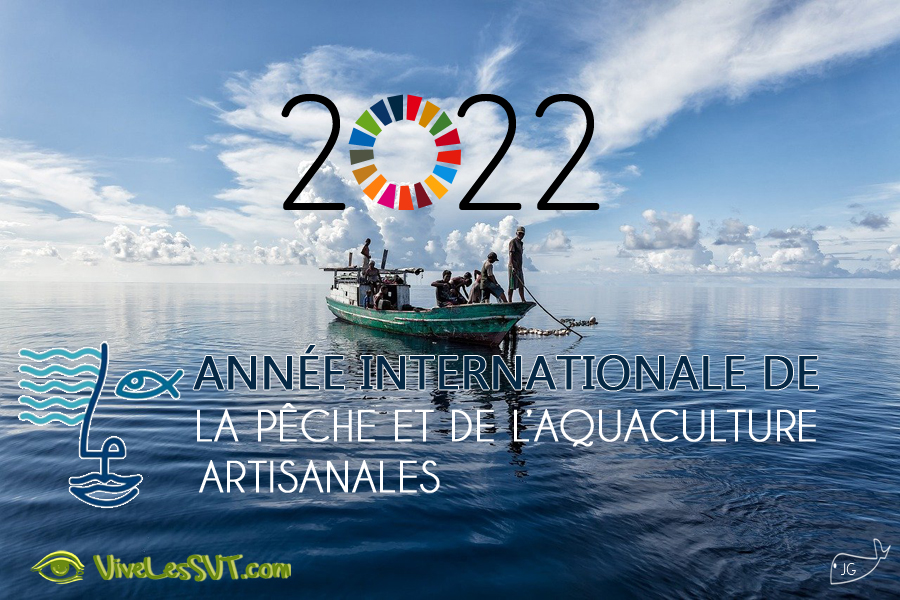 2022 : année internationale de la pêche artisanale et de l’aquaculture