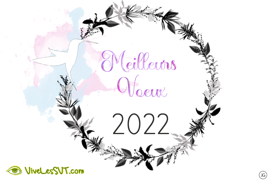 Nos meilleurs vœux 2022 !