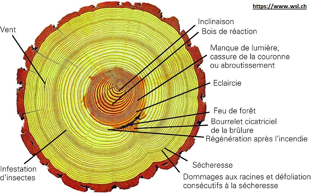 La complexité du système climatique – Enseignement scientifique