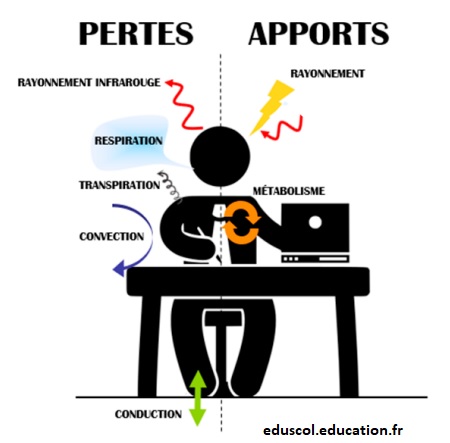 Le bilan thermique du corps humain – Enseignement scientifique