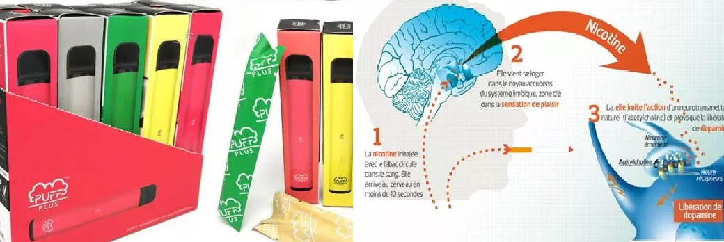 La puff cigarette : risque élevé d’addiction à la nicotine