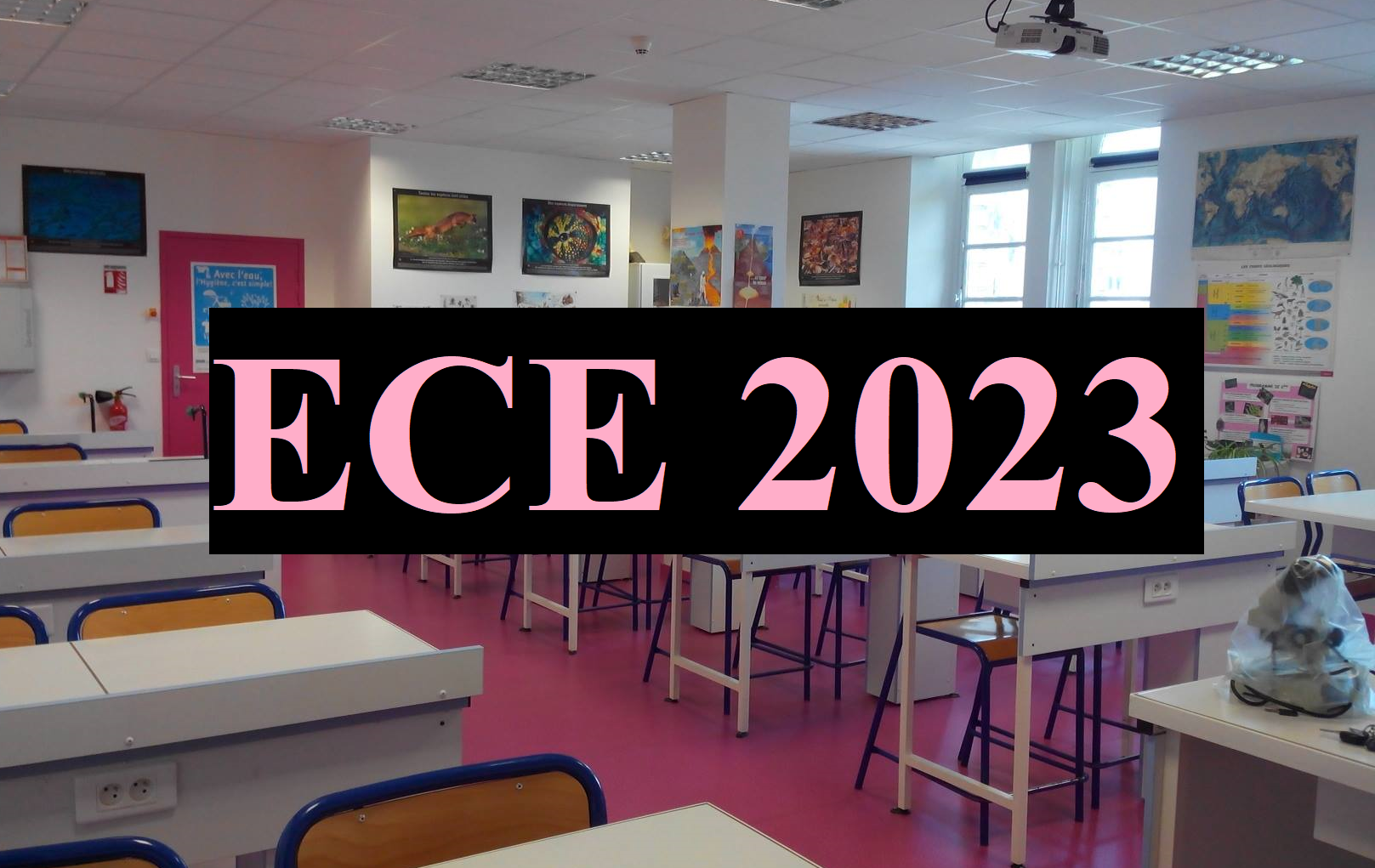 ECE 2023 : banque de sujets des situations expérimentales