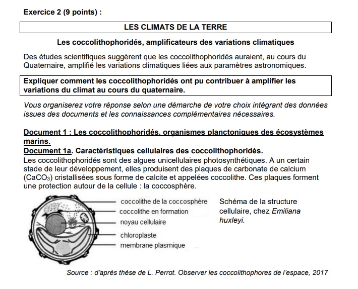 Sujet bac de SES : pas si facile ! Les sujets 2023 en intégralité