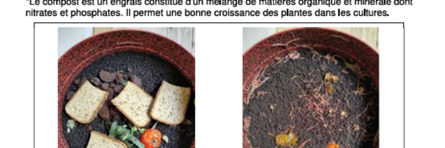 Sujet de DNB 2025 en Amérique du nord
