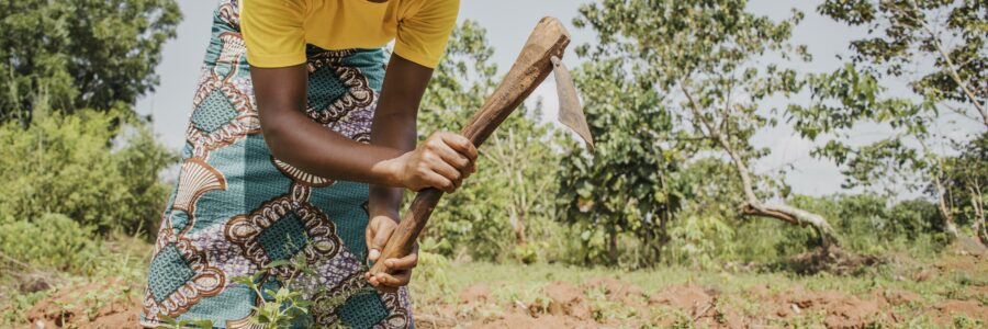 2026 Année internationale des agricultrices