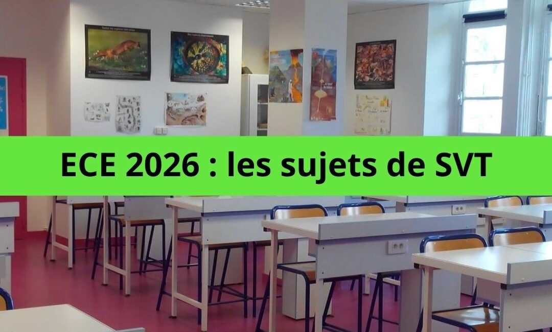 ECE 2026 : la banque de sujets des situations expérimentales